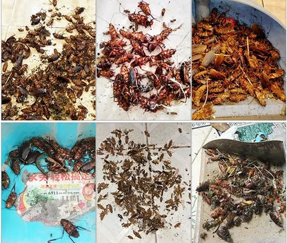 GEL EXTERMINADOR DE CUCARACHAS - LLEVA 2 Y PAGA 1