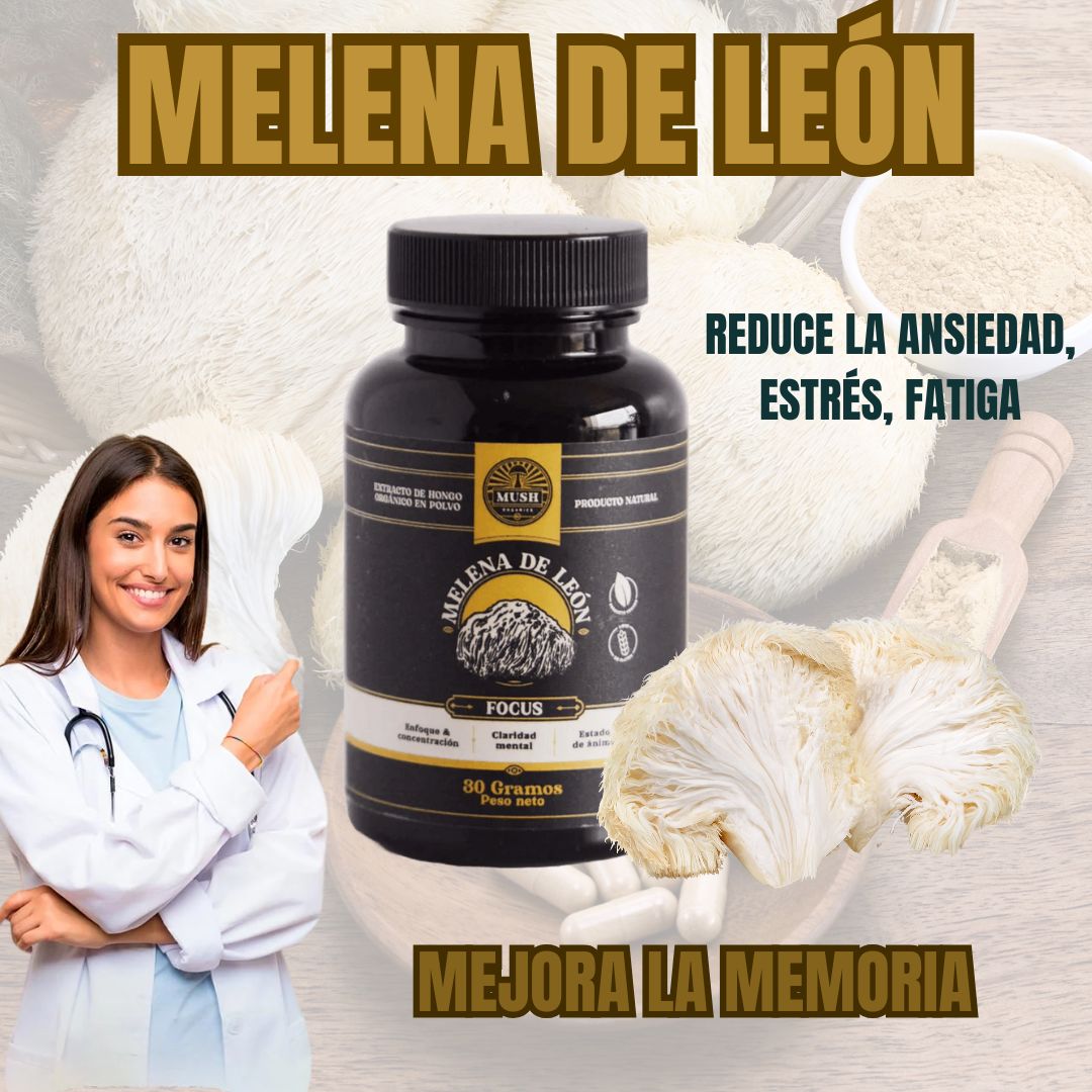 MELENA DE LEÓN HONGO MILENARIO- Mejora la memoria, Reduce el Estrés y ansiedad