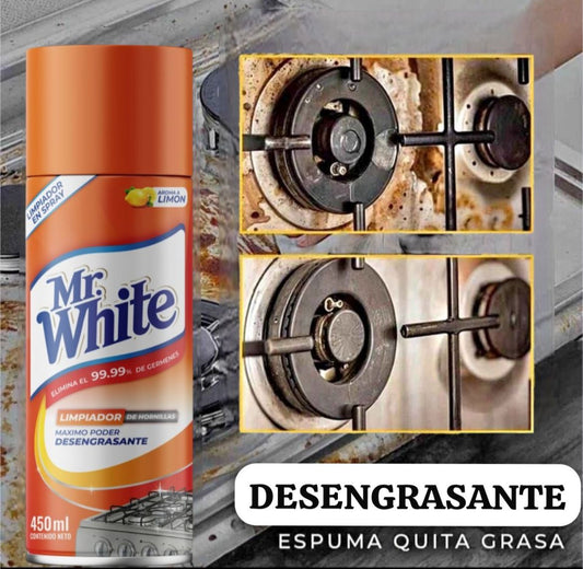 DESENGRASANTE LIMPIEZA EFECTIVA - REMATE